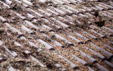 Triscombe roof cleaning companies